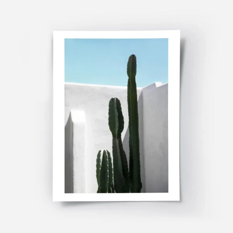 affiche de cactus verts sur fond de mur blanc et ciel bleu style tropical pour u.webp