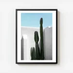 affiche de cactus verts sur fond de mur blanc et ciel bleu style tropical pour u avec cadre.webp