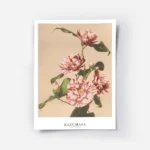 affiche de camelias rayes blancs et roses sur fond beige avec des feuilles verte.webp