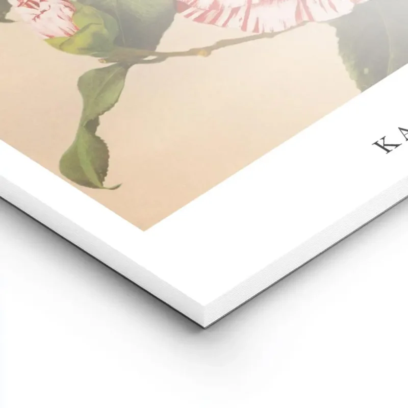 affiche de camelias rayes blancs et roses sur fond beige avec des feuilles verte lightpanel.webp