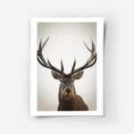 affiche de cerf avec de grands bois marron vu de face sur un fond beige pour une.webp