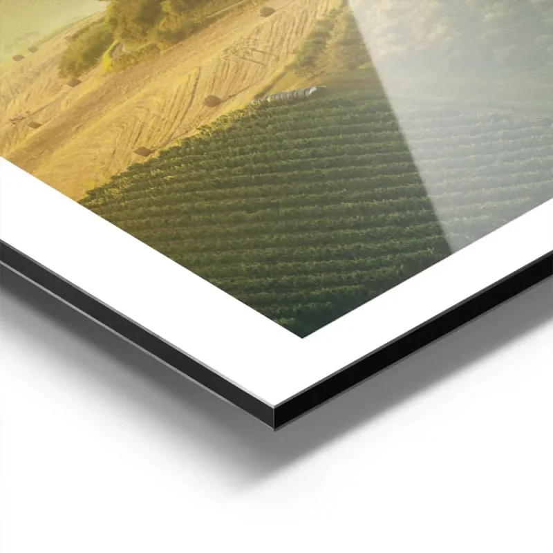 affiche de champs verdoyants et collines de toscane au coucher du soleil avec ty aluminium.webp