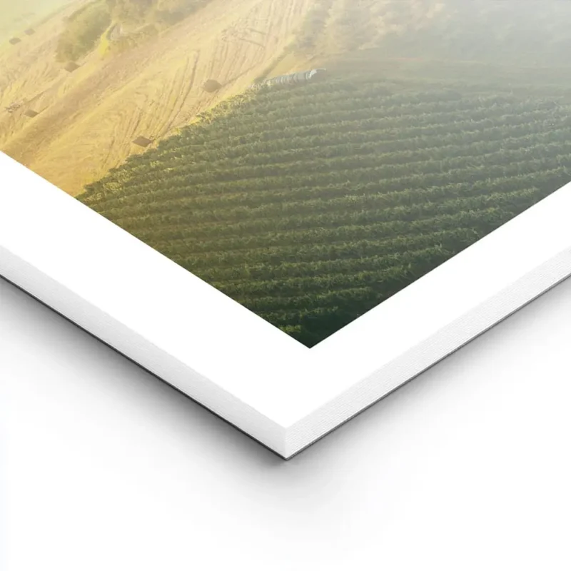 affiche de champs verdoyants et collines de toscane au coucher du soleil avec ty lightpanel.webp