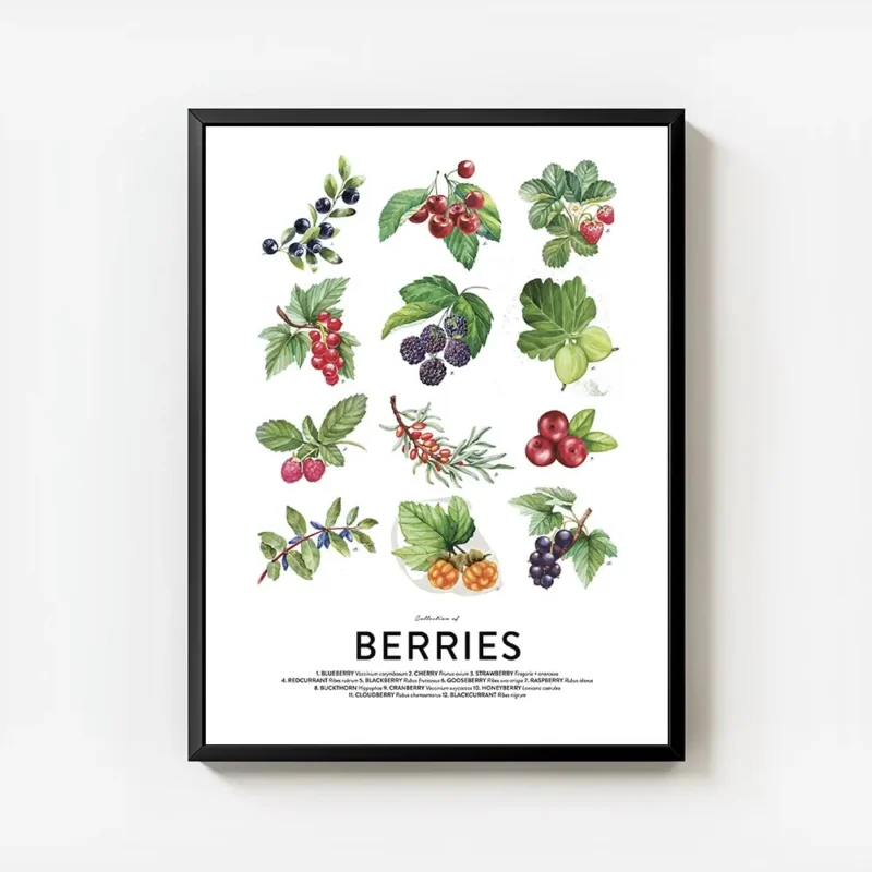 affiche de collection de baies avec des illustrations de myrtilles cerises frais avec cadre.webp