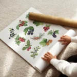 affiche de collection de baies avec des illustrations de myrtilles cerises frais enroule.webp