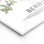 affiche de collection de baies avec des illustrations de myrtilles cerises frais lightpanel.webp