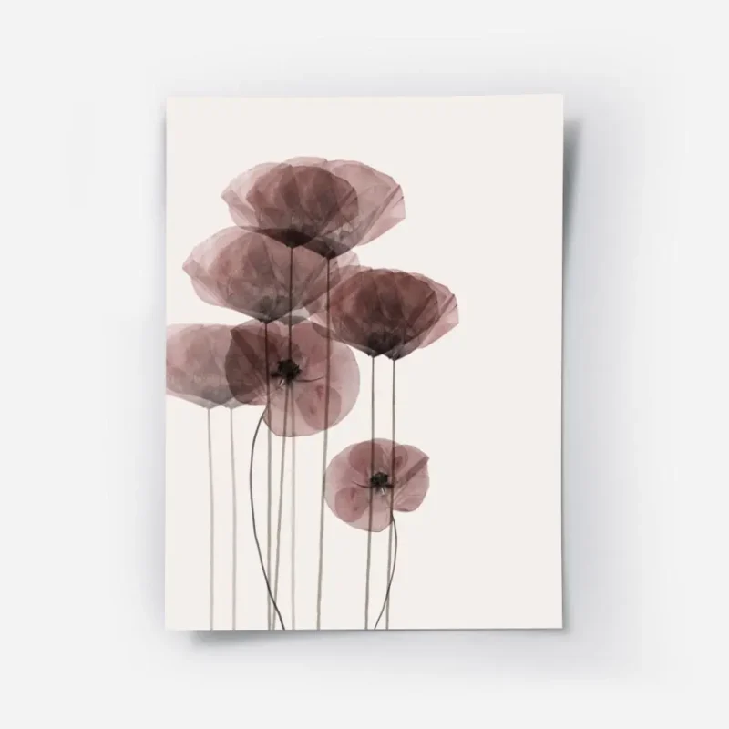 affiche de coquelicots translucides aux teintes sombres sur fond clair avec des .webp