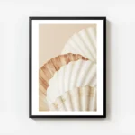 affiche de coquillages aux couleurs blanc orange et marron clair sur fond beige avec cadre.webp