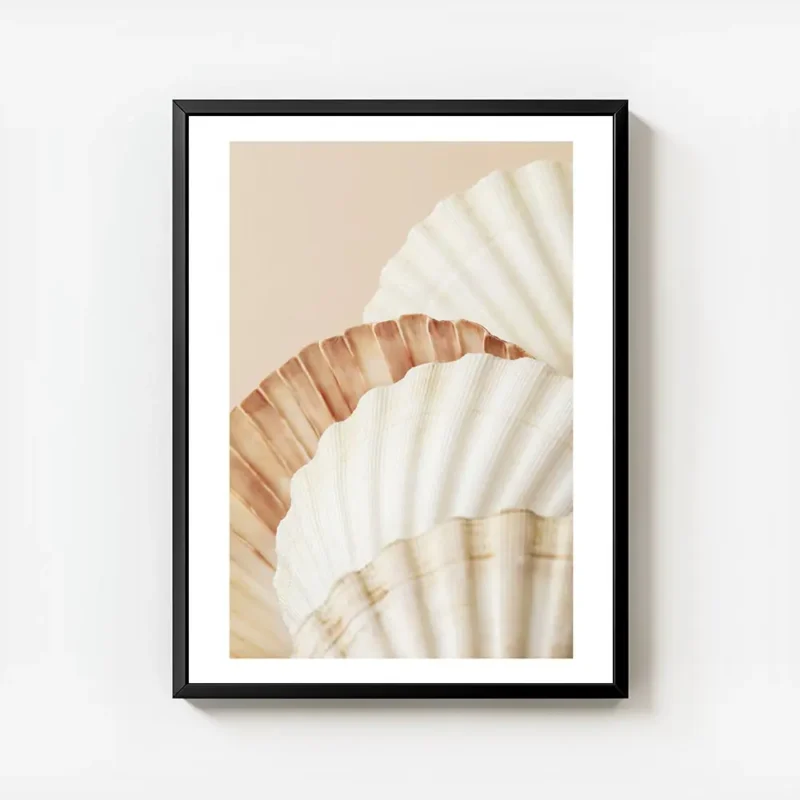 affiche de coquillages aux couleurs blanc orange et marron clair sur fond beige avec cadre.webp