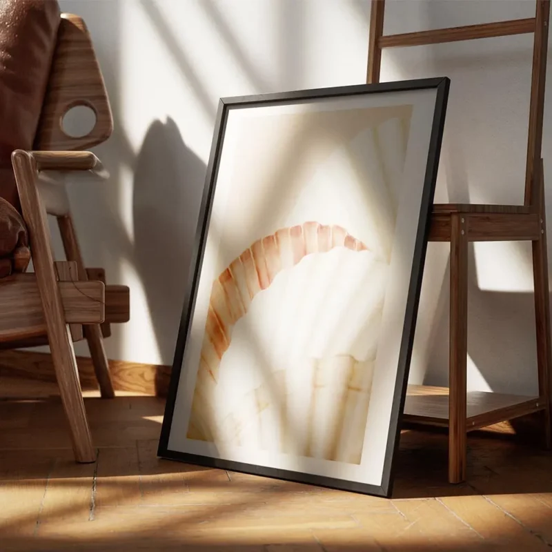 affiche de coquillages aux couleurs blanc orange et marron clair sur fond beige encadre.webp