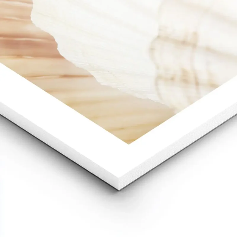 affiche de coquillages aux couleurs blanc orange et marron clair sur fond beige lightpanel.webp