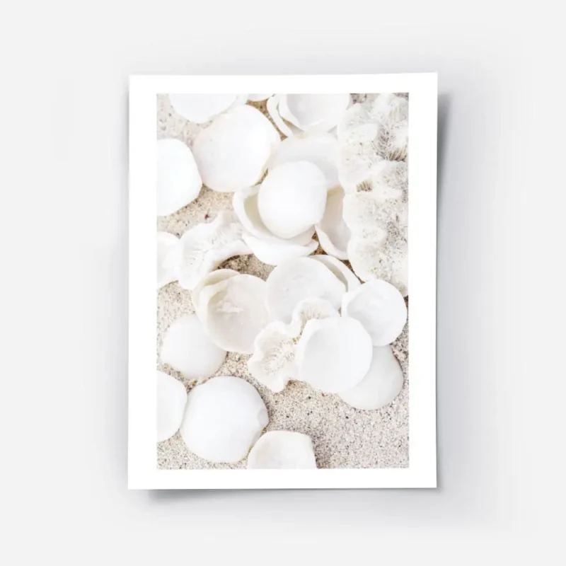 affiche de coquillages blancs et de coraux beiges sur sable clair photographie d.webp