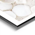 affiche de coquillages blancs et de coraux beiges sur sable clair photographie d aluminium.webp