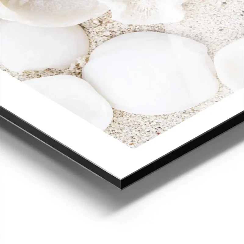 affiche de coquillages blancs et de coraux beiges sur sable clair photographie d aluminium.webp