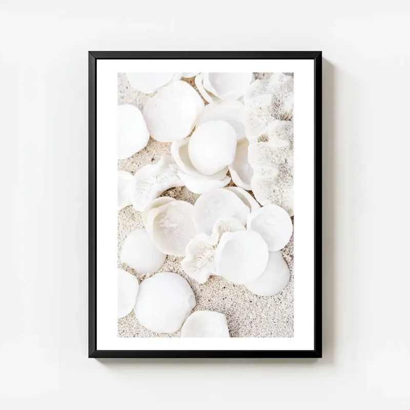 affiche de coquillages blancs et de coraux beiges sur sable clair photographie d avec cadre.webp