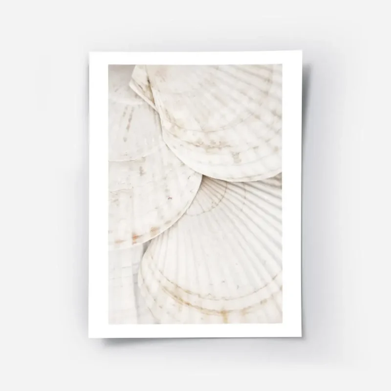 affiche de coquillages blancs superposes avec des touches de brun apportant une .webp