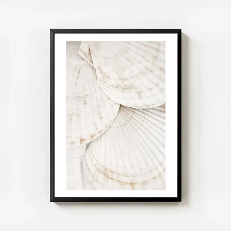 affiche de coquillages blancs superposes avec des touches de brun apportant une avec cadre.webp