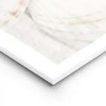 affiche de coquillages blancs superposes avec des touches de brun apportant une lightpanel.webp