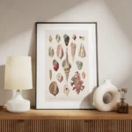 affiche de coquillages vintage avec une illustration botanique detaillee de diff meuble.webp