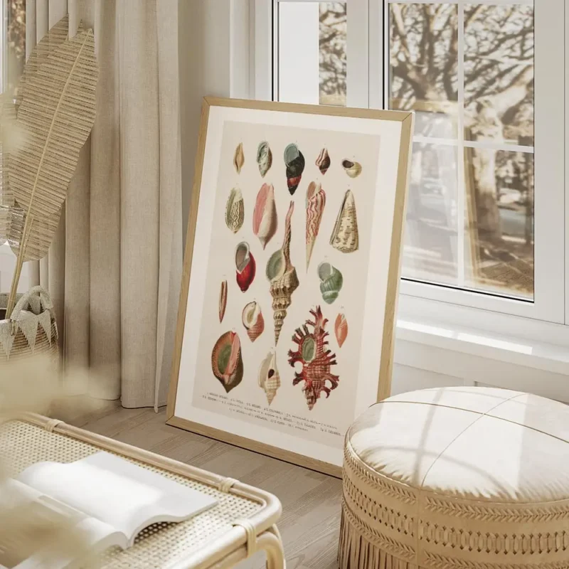 affiche de coquillages vintage avec une illustration botanique detaillee de diff salon beige.webp