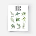 affiche de cuisine avec neuf illustrations dherbes aromatiques vertes dont le ba.webp