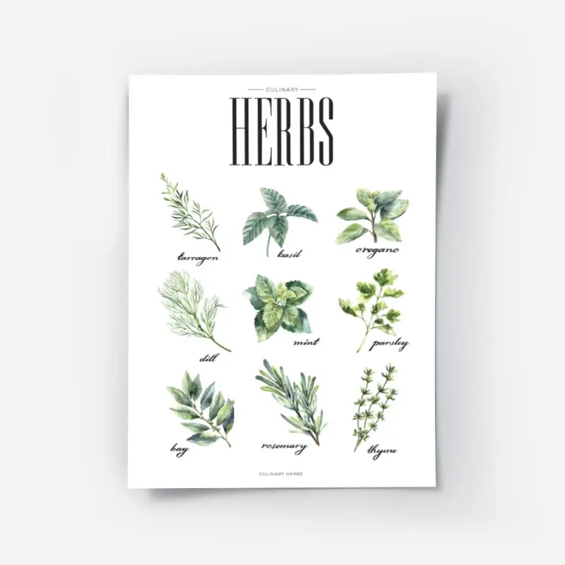 affiche de cuisine avec neuf illustrations dherbes aromatiques vertes dont le ba.webp