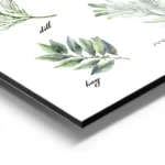 affiche de cuisine avec neuf illustrations dherbes aromatiques vertes dont le ba aluminium.webp