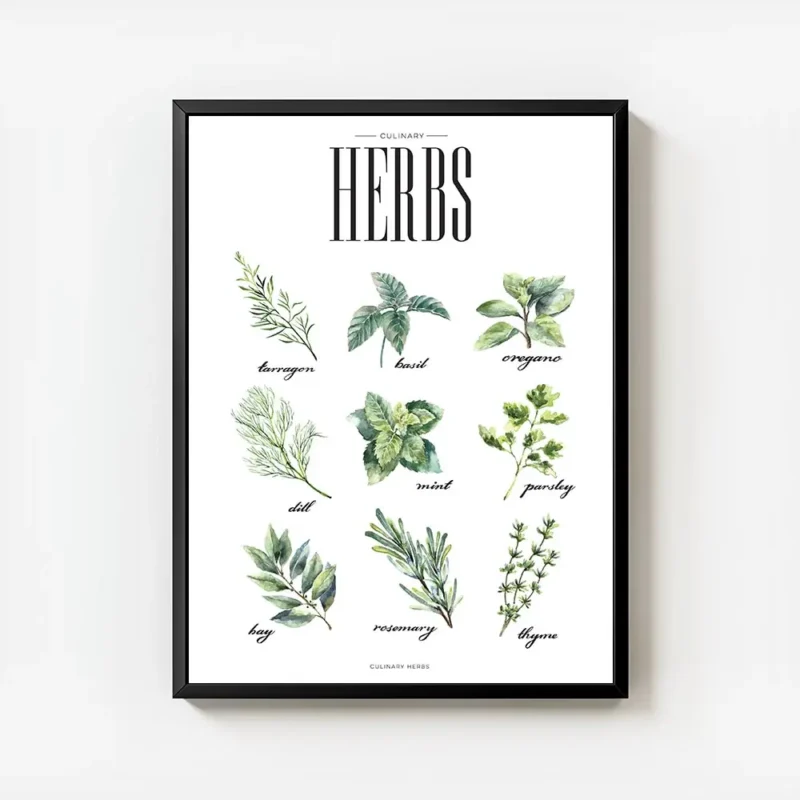 affiche de cuisine avec neuf illustrations dherbes aromatiques vertes dont le ba avec cadre.webp