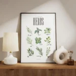 affiche de cuisine avec neuf illustrations dherbes aromatiques vertes dont le ba meuble.webp