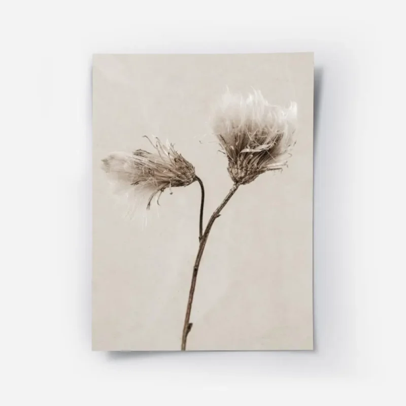 affiche de deux chardons seches aux couleurs beige et marron sur un fond texture.webp