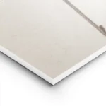 affiche de deux chardons seches aux couleurs beige et marron sur un fond texture lightpanel.webp