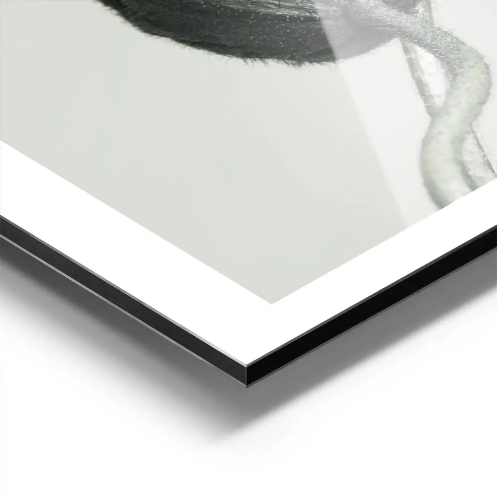 Image galerie 9
