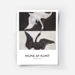 affiche de deux cygnes un blanc et un noir se faisant face sur fond bicolore.webp