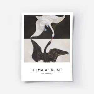 affiche de deux cygnes un blanc et un noir se faisant face sur fond bicolore.webp