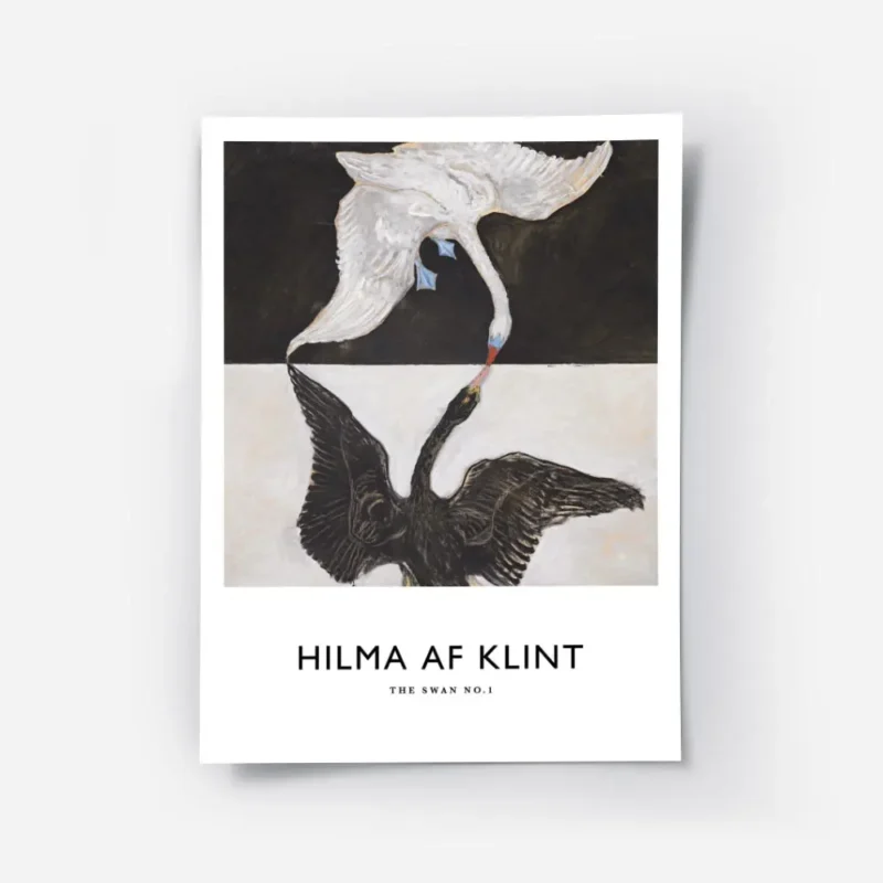 affiche de deux cygnes un blanc et un noir se faisant face sur fond bicolore.webp