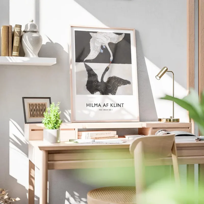 affiche de deux cygnes un blanc et un noir se faisant face sur fond bicolore bureau.webp