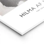 affiche de deux cygnes un blanc et un noir se faisant face sur fond bicolore lightpanel.webp