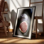 affiche de deux figues sombres lune coupee en deux revelant une chair rouge jute encadre.webp