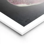 affiche de deux figues sombres lune coupee en deux revelant une chair rouge jute lightpanel.webp