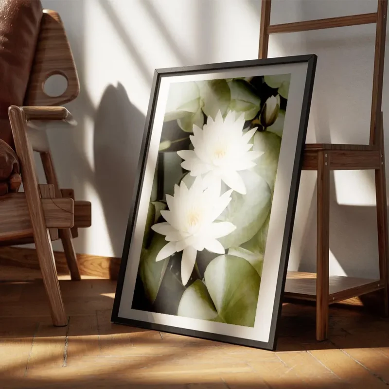 affiche de deux fleurs de lotus blanches avec des petales verts et un bourgeon d encadre.webp