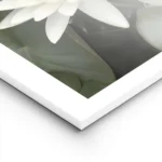 affiche de deux fleurs de lotus blanches avec des petales verts et un bourgeon d lightpanel.webp