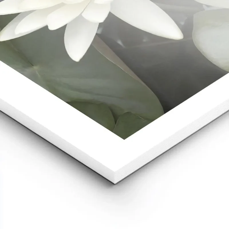 affiche de deux fleurs de lotus blanches avec des petales verts et un bourgeon d lightpanel.webp