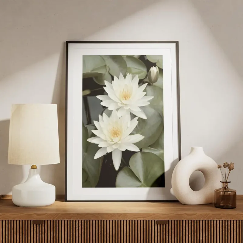 affiche de deux fleurs de lotus blanches avec des petales verts et un bourgeon d meuble.webp