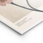 affiche de deux fleurs graphiques marron et roses avec des details noirs et du t lightpanel.webp