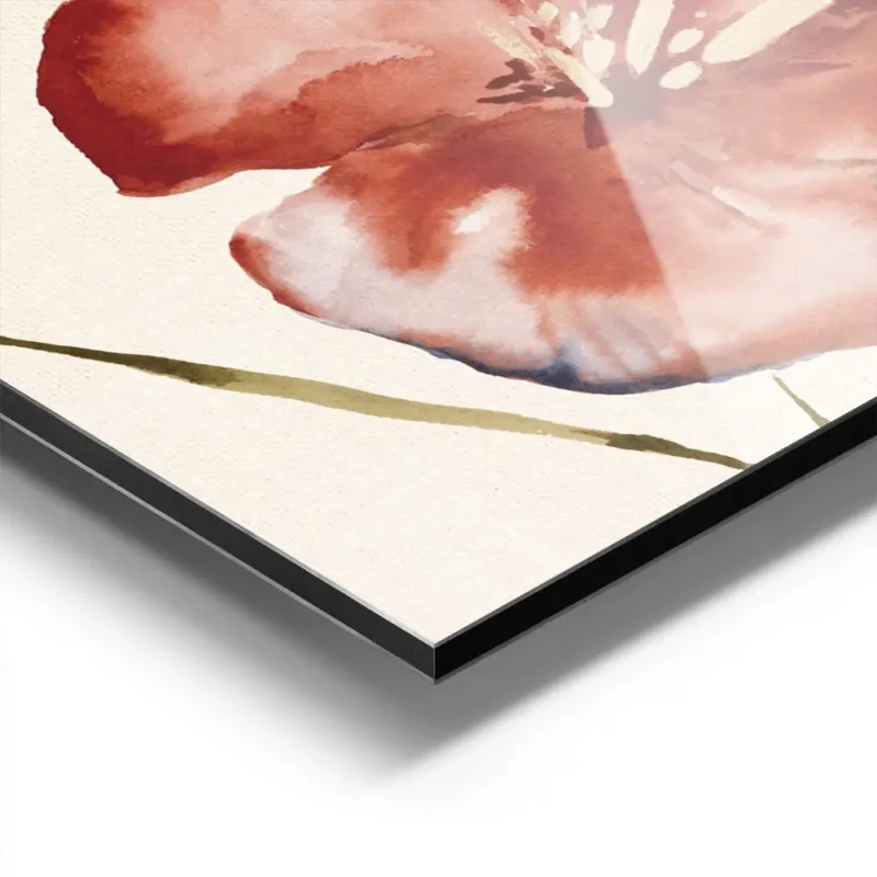 affiche de deux fleurs rouges corail aux nuances bleues et jaunes sur fond beige aluminium.webp