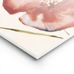 affiche de deux fleurs rouges corail aux nuances bleues et jaunes sur fond beige lightpanel.webp