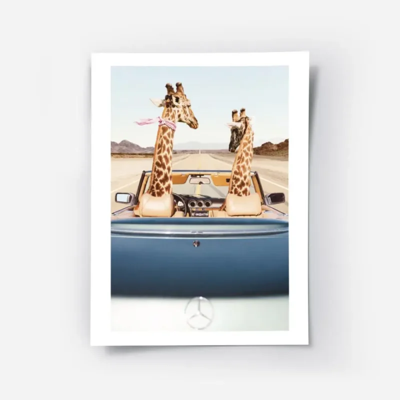 affiche de deux girafes en voiture decapotable bleue dans le desert avec une typ.webp