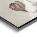 affiche de deux lys seches sur une meme tige sur un fond beige texture aluminium.webp