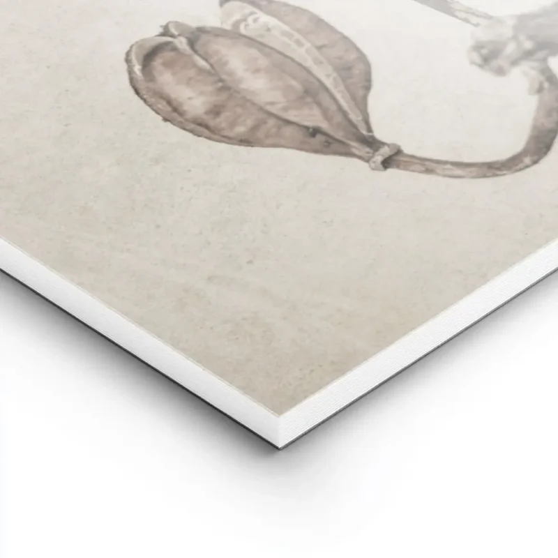 affiche de deux lys seches sur une meme tige sur un fond beige texture lightpanel.webp