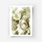 affiche de deux moities davocat sur papier vert avec des ombres creant des motif.webp